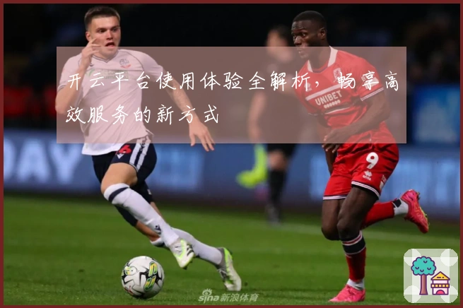 开云平台使用体验全解析，畅享高效服务的新方式